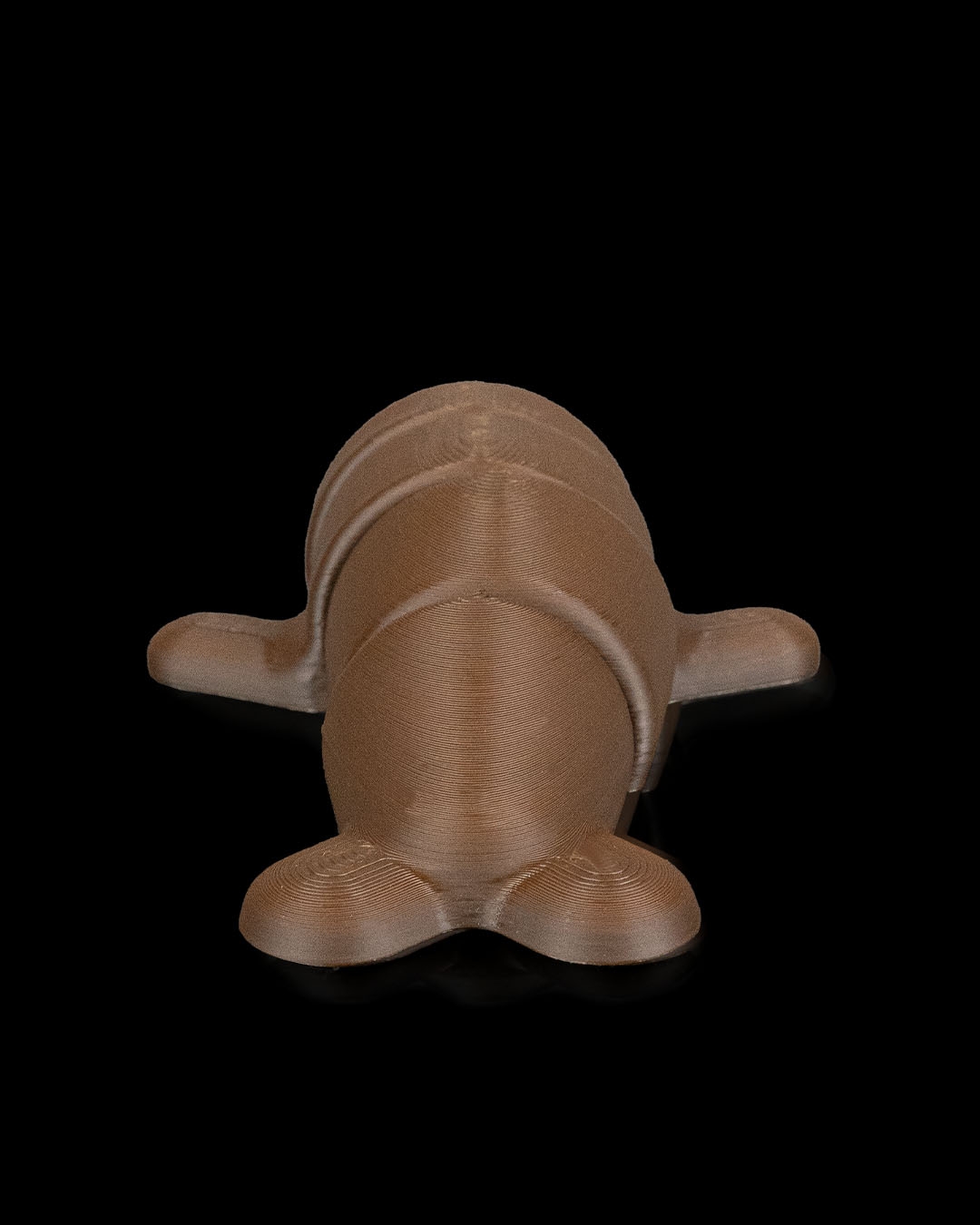 Seal in Ocean Rest - Image 6