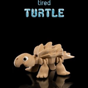 Tired Turtle
