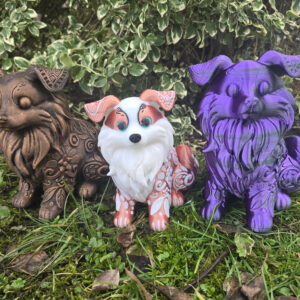 M.P. Australian shepherd