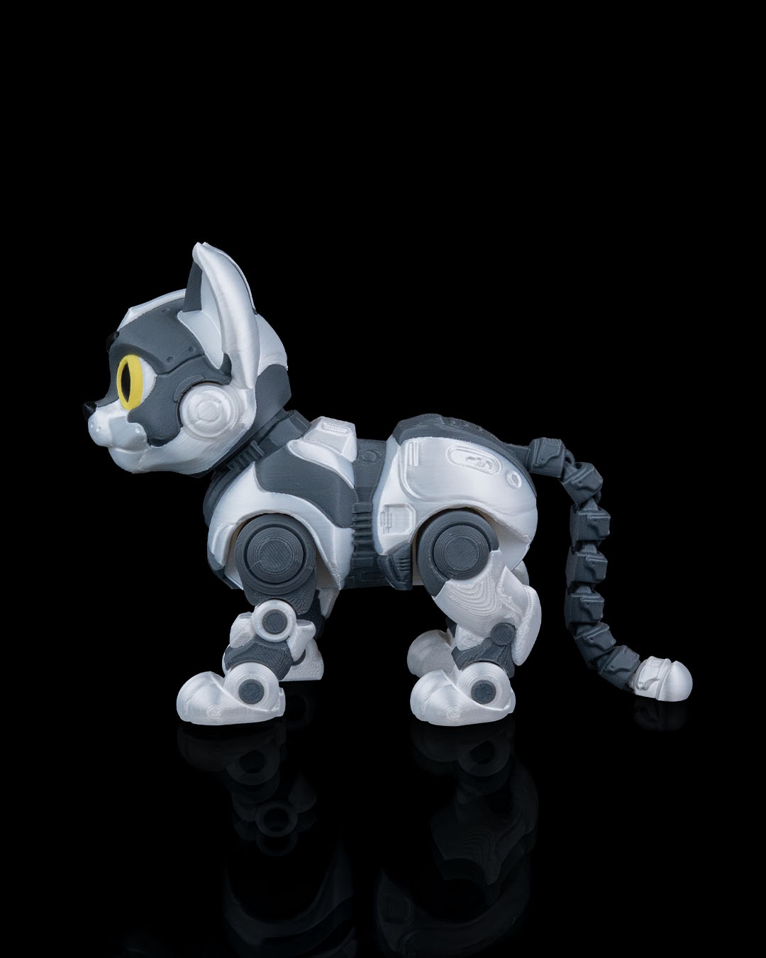 C-47
”ShadowProwler” - Image 4