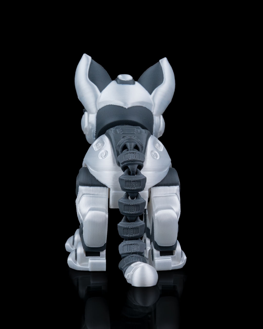 C-47
”ShadowProwler” - Image 5