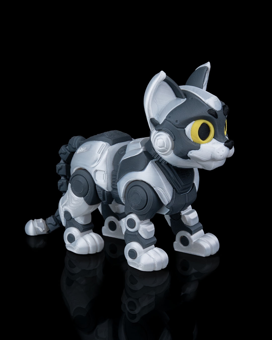 C-47
”ShadowProwler” - Image 7