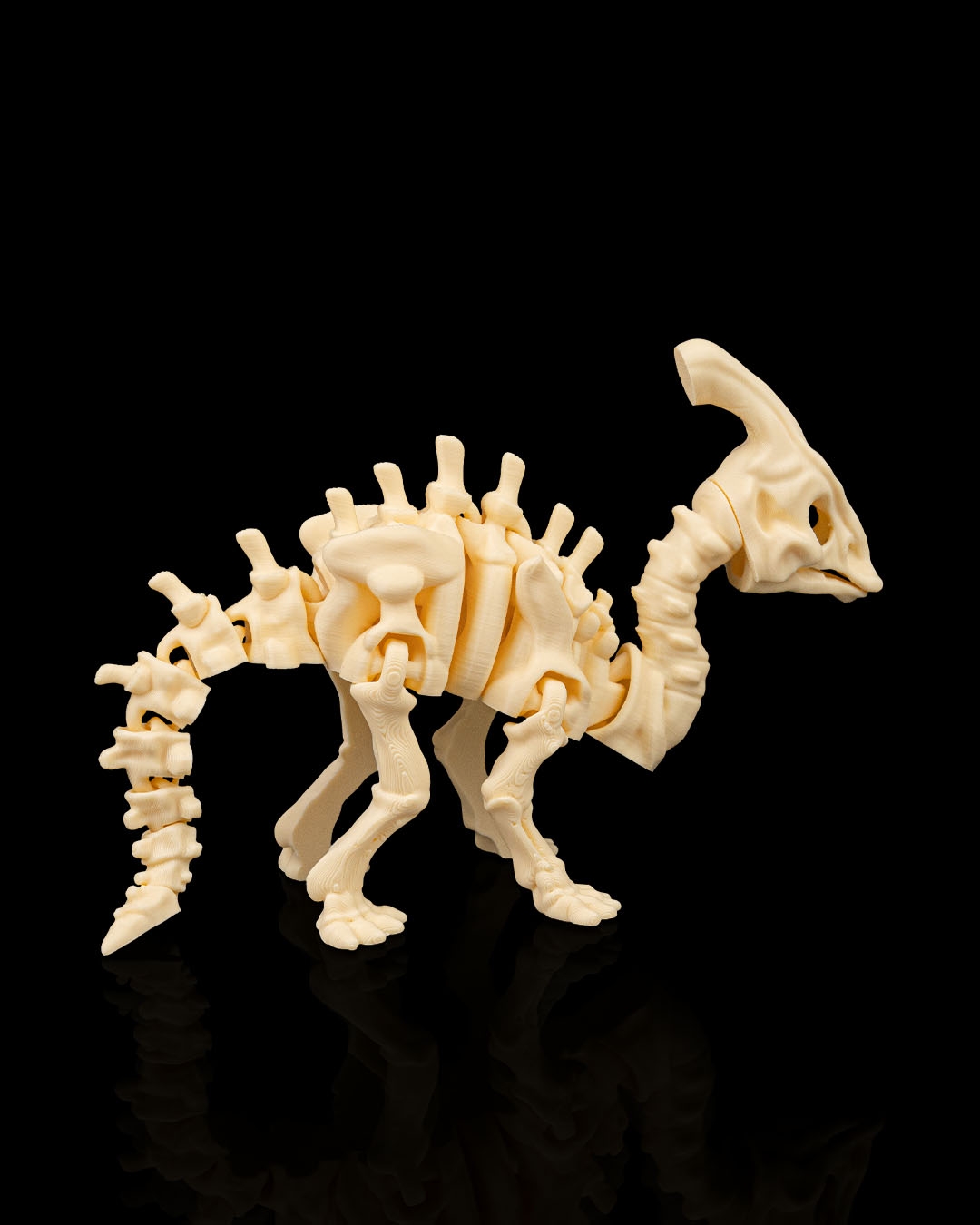 Skeleton Parasaurolophus - Image 3