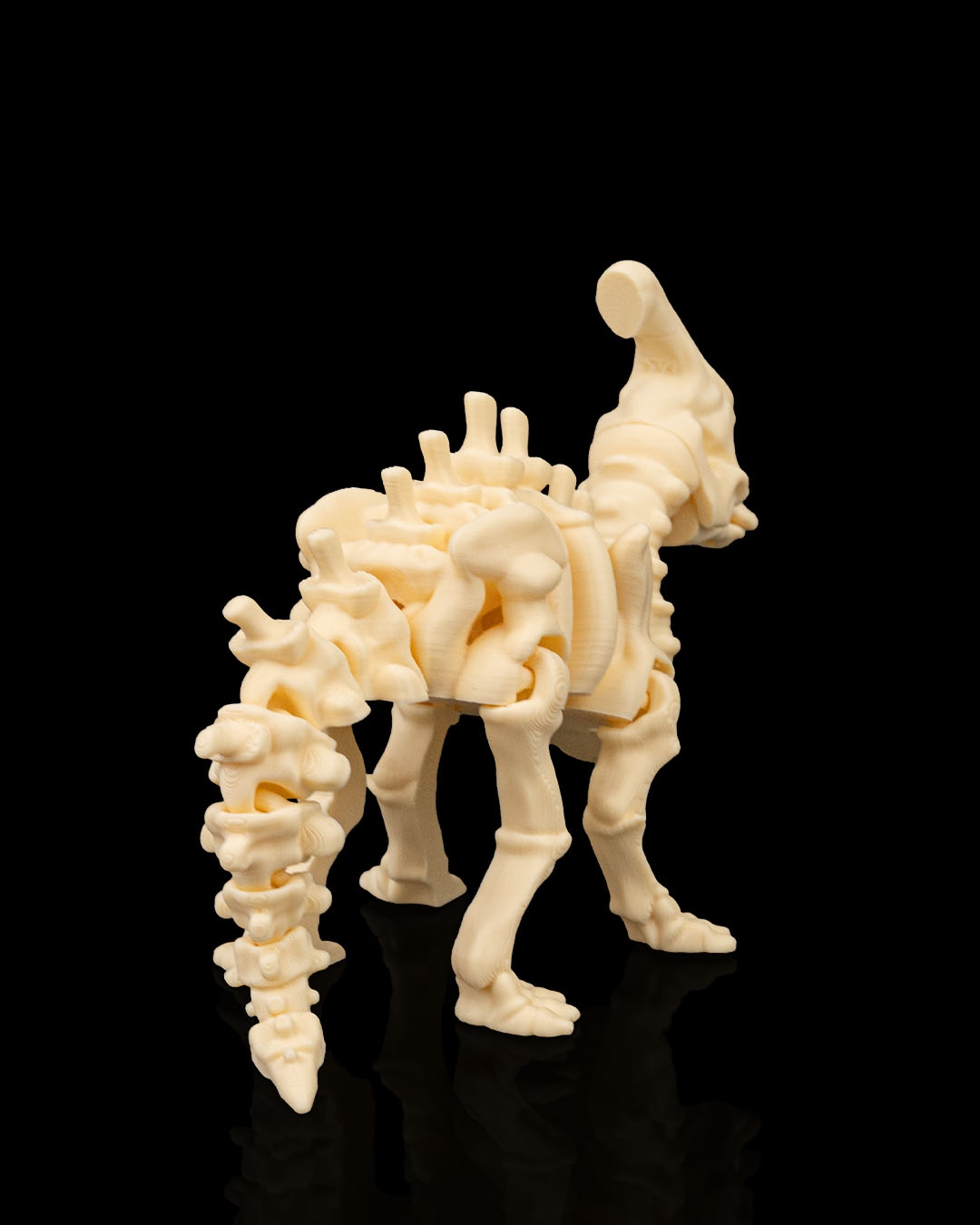 Skeleton Parasaurolophus - Image 4