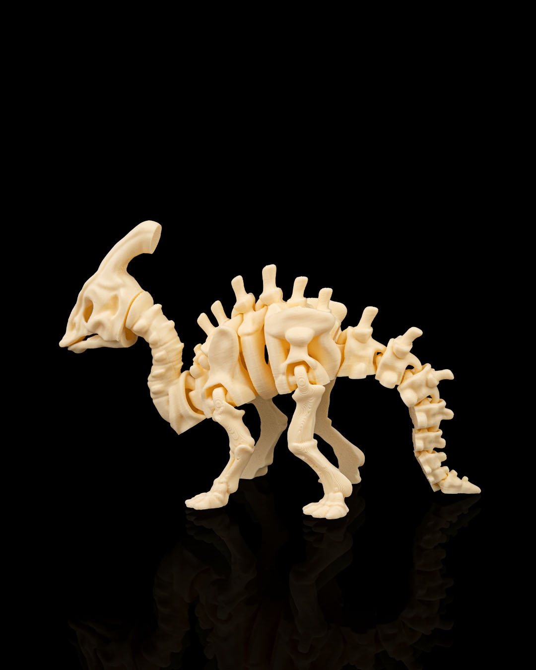 Skeleton Parasaurolophus - Image 5