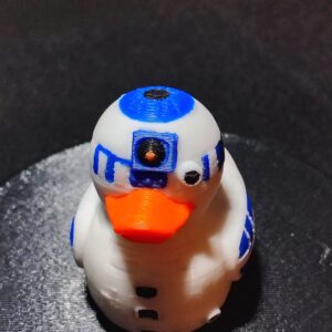 R2 Duck