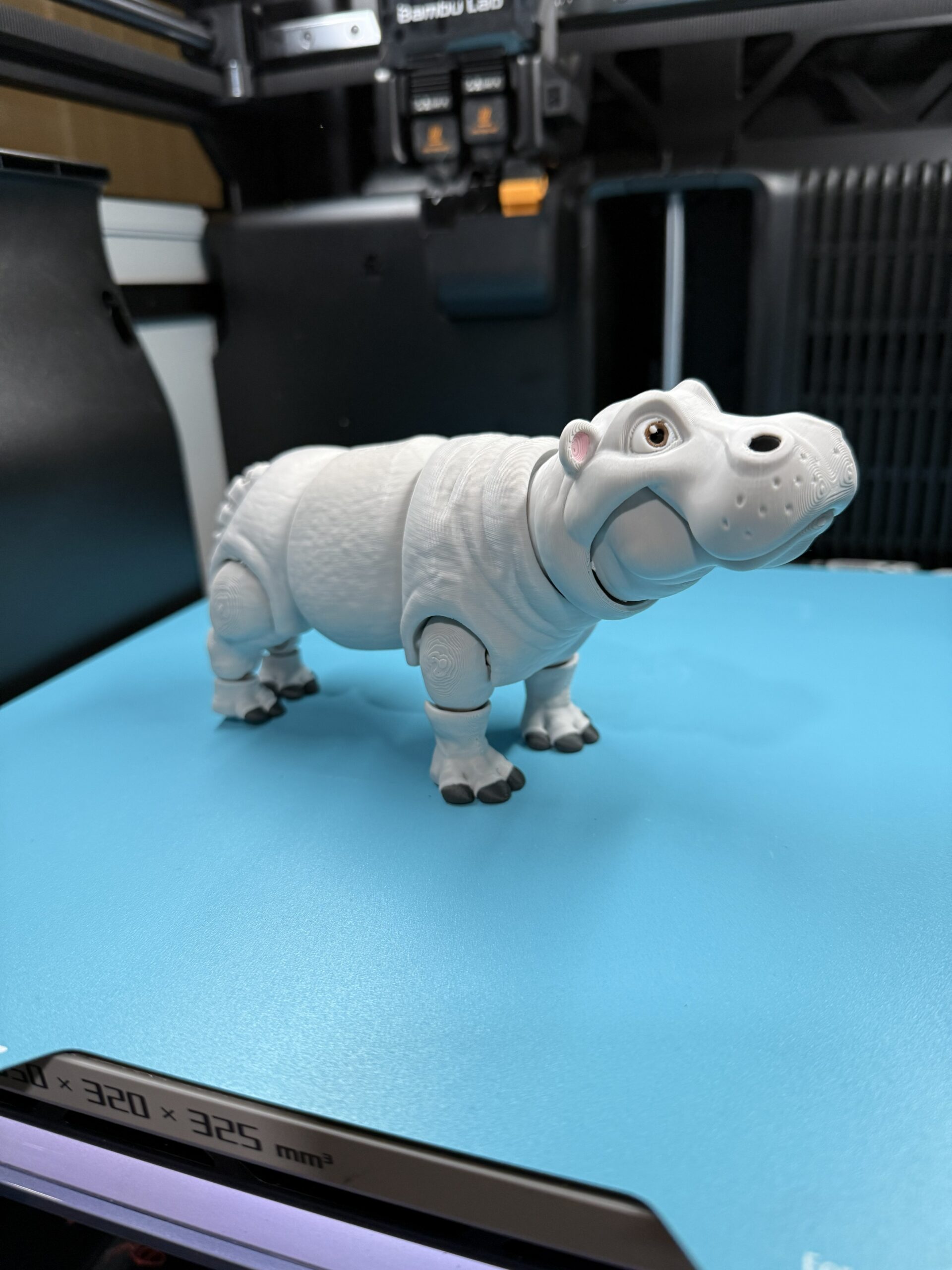 Hippopotamus - Image 2