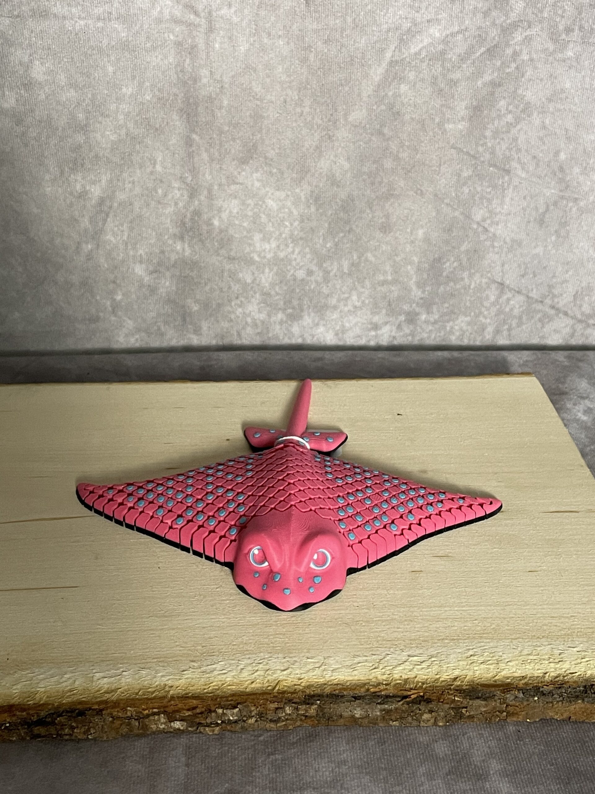 Igor, the Spotted Eagle Ray - Image 13