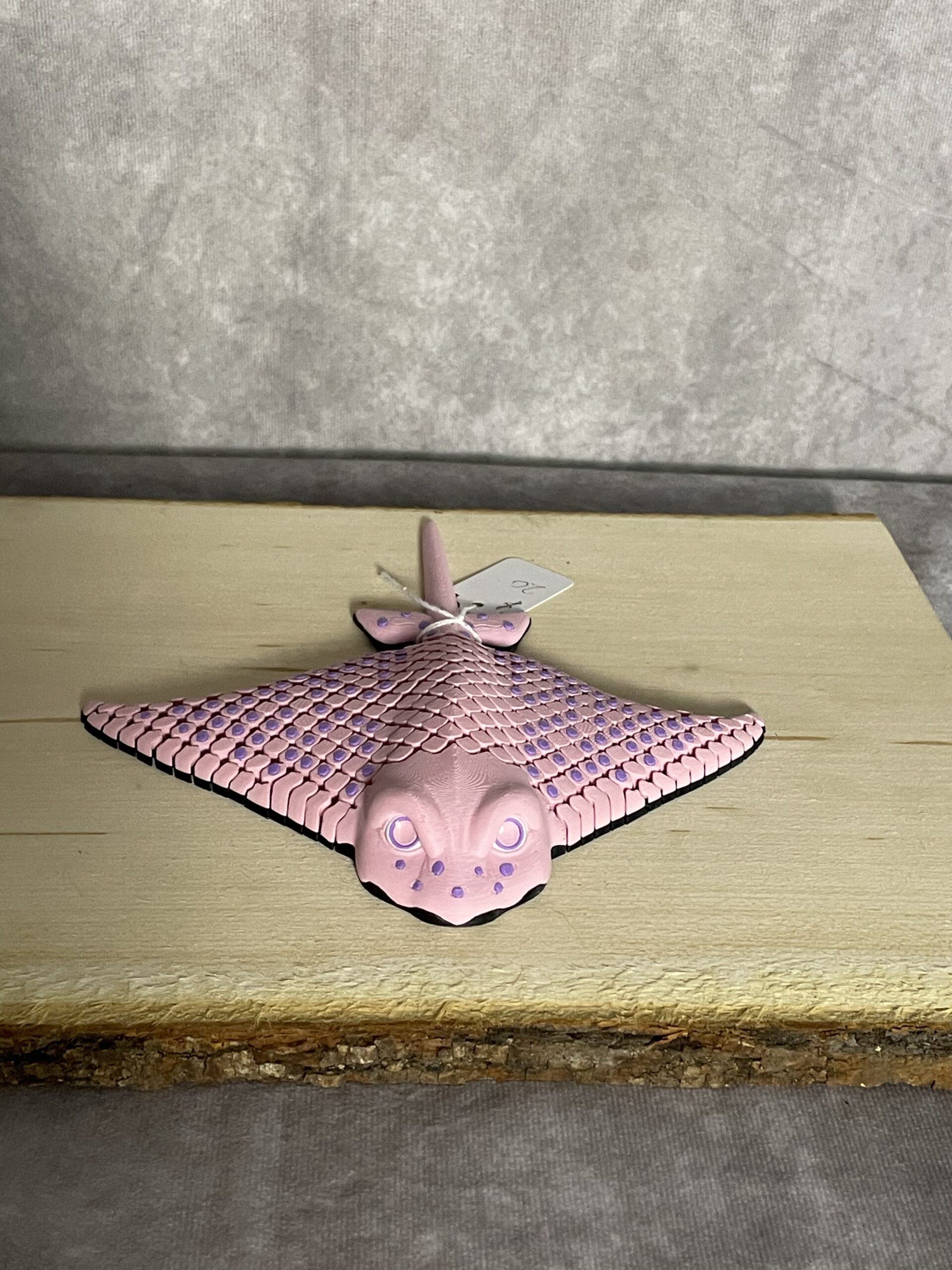 Igor, the Spotted Eagle Ray - Image 12