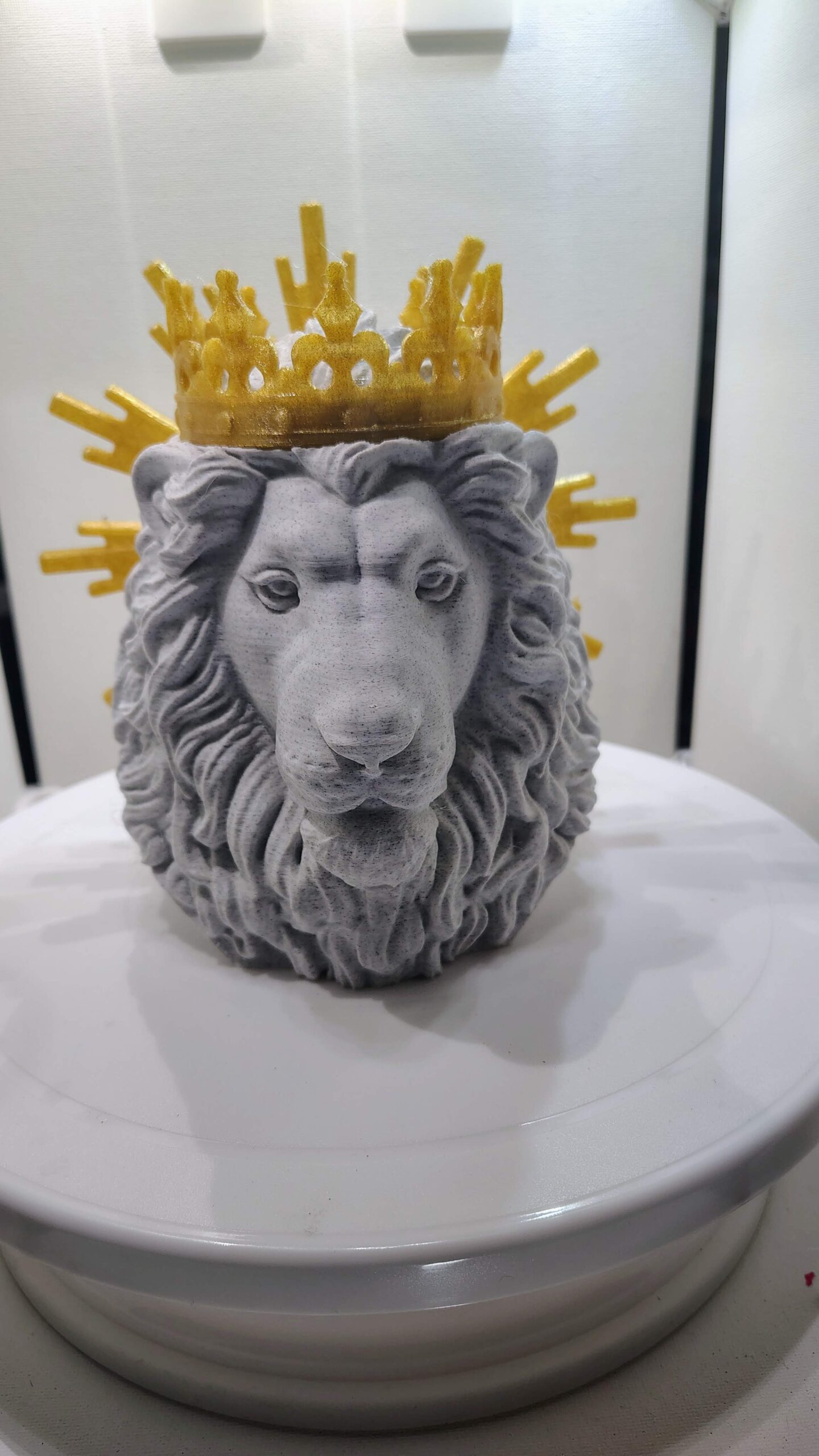 Lion of Judah - Image 2