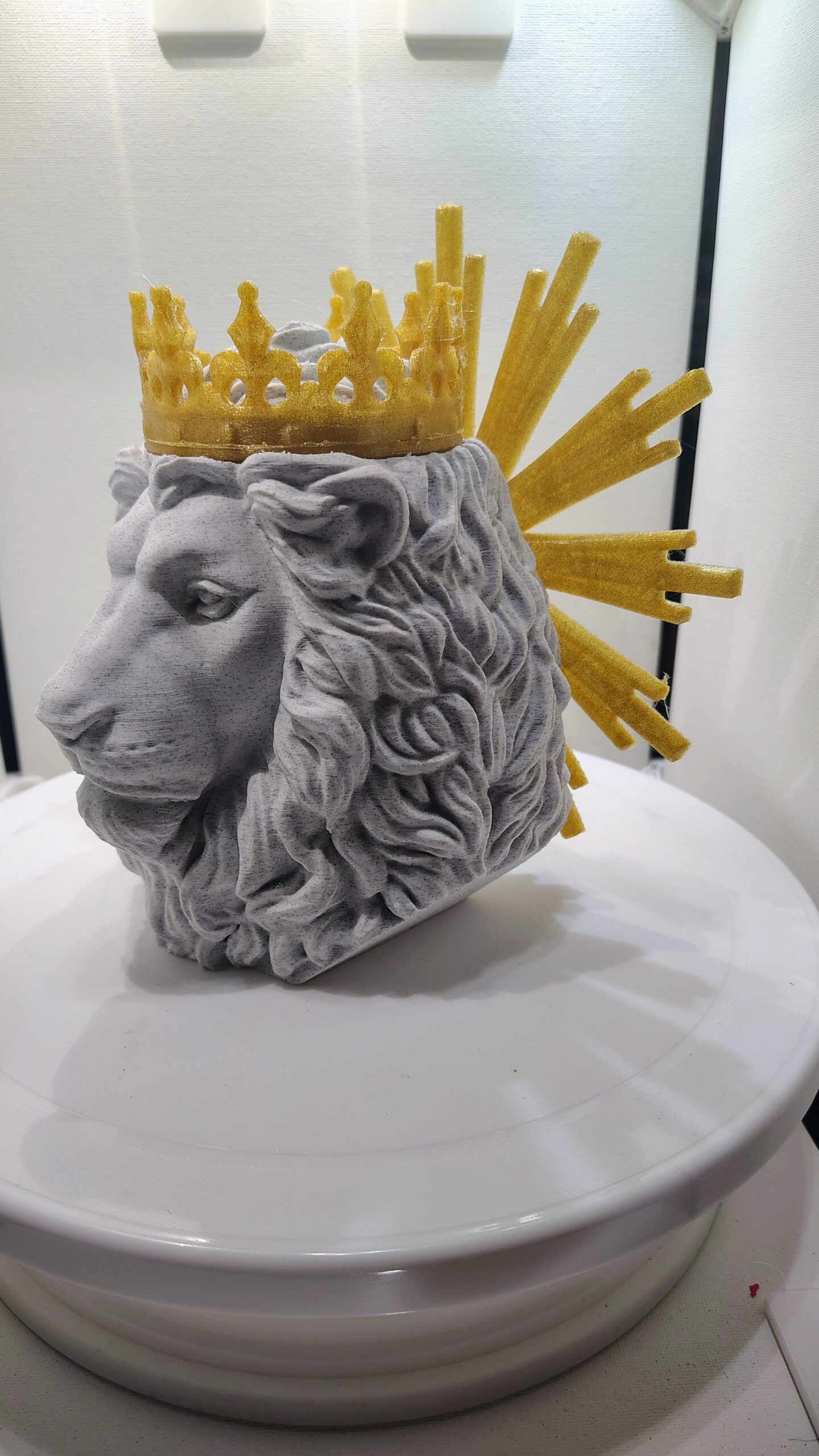 Lion of Judah - Image 3