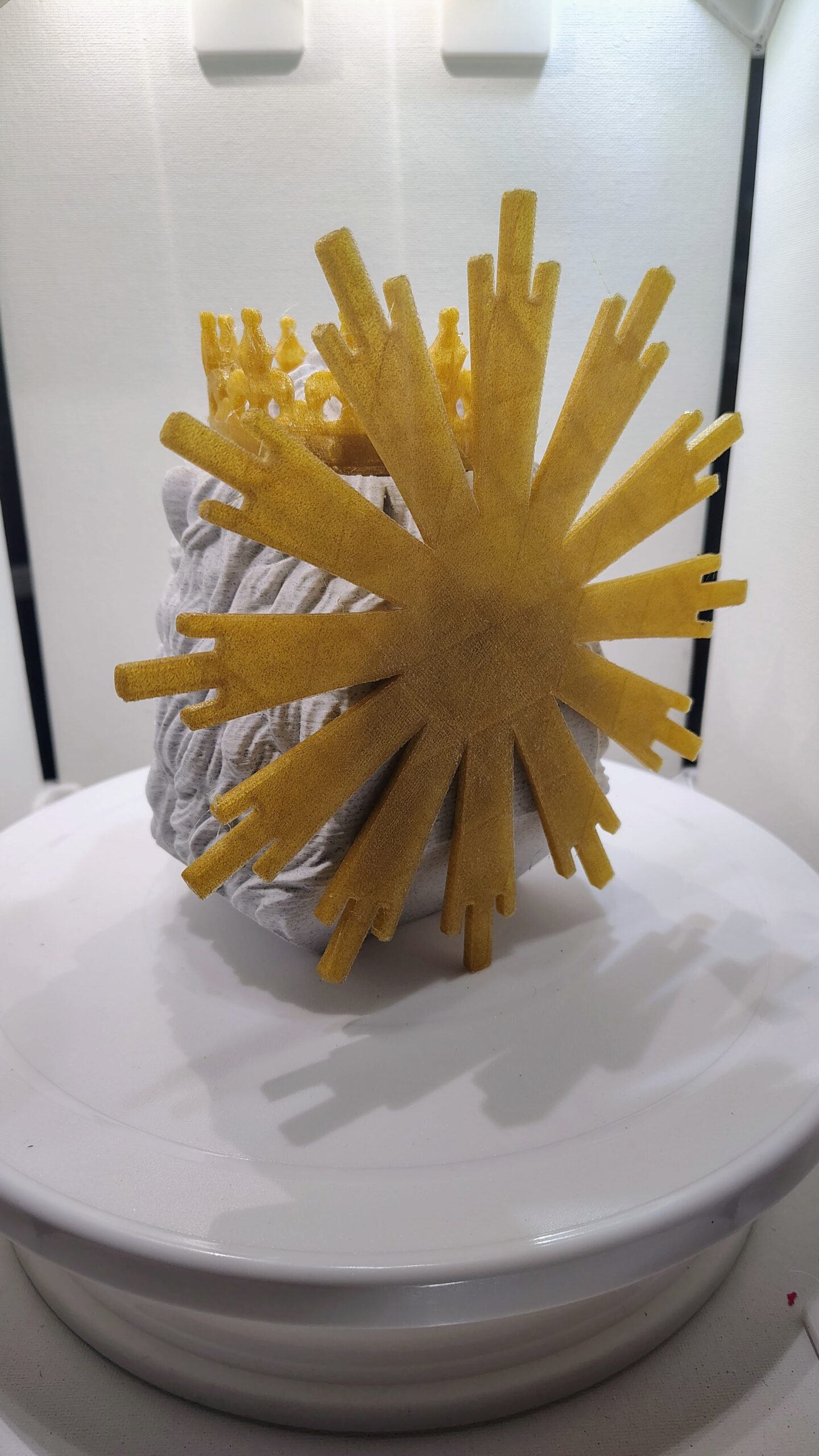 Lion of Judah - Image 5