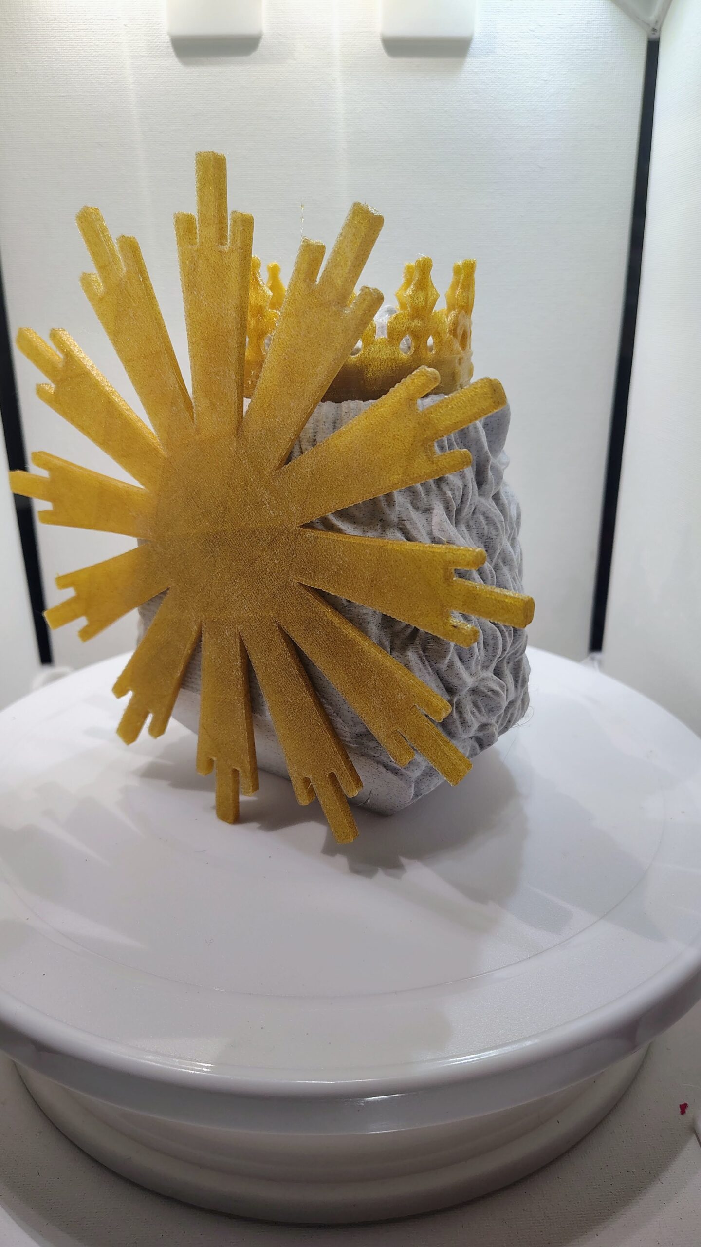 Lion of Judah - Image 6