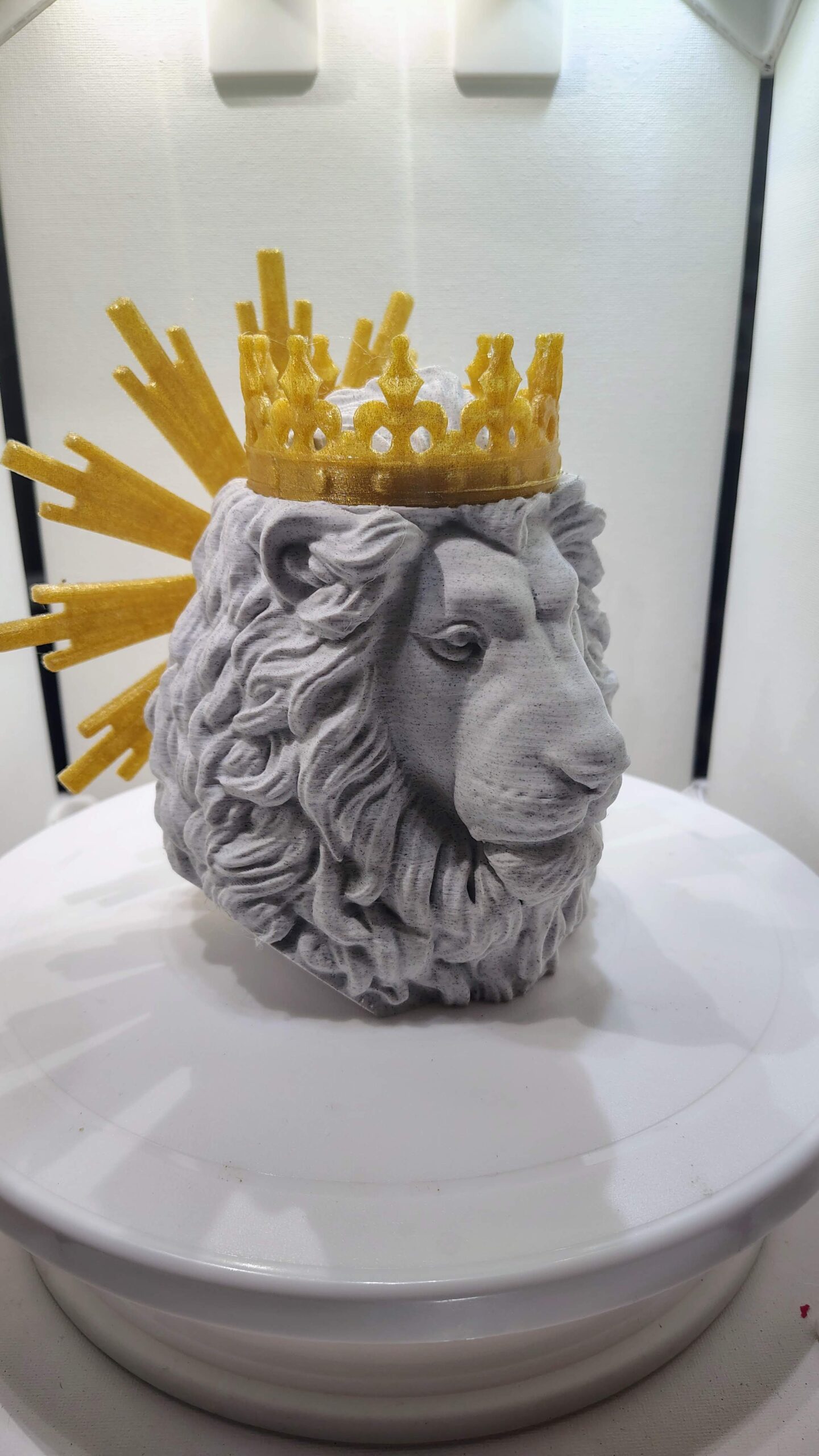 Lion of Judah - Image 8