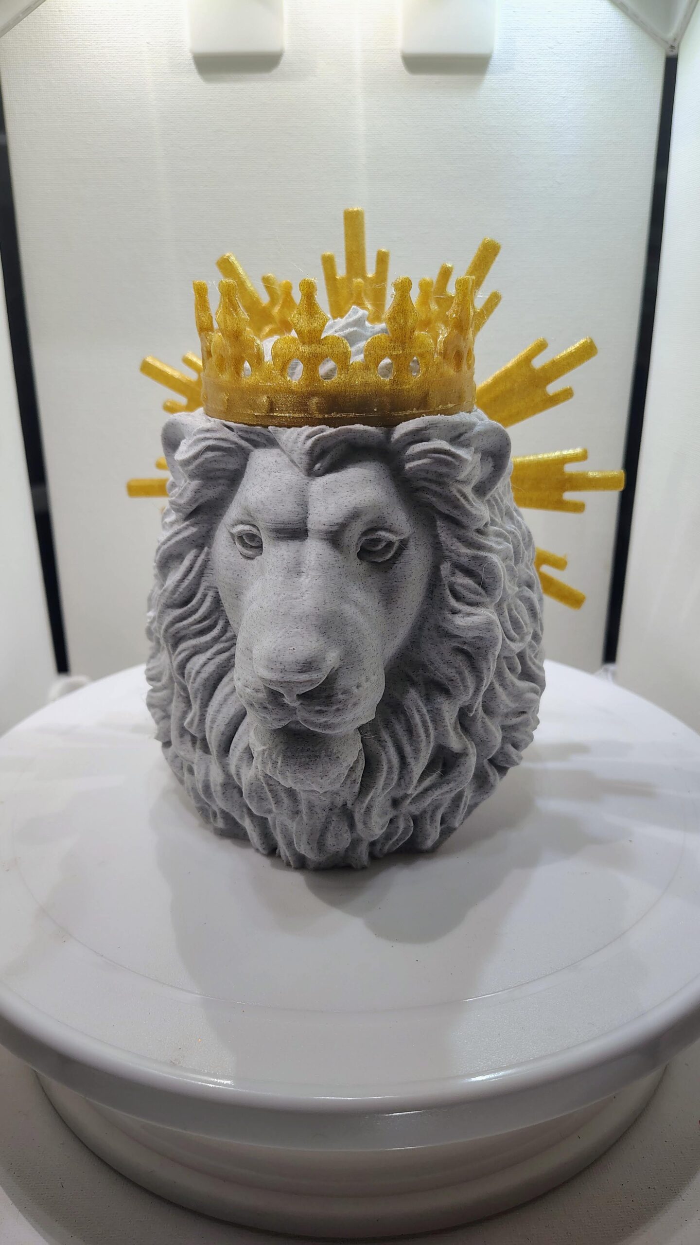 Lion of Judah - Image 9